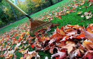Spring Cleaning for Lawns