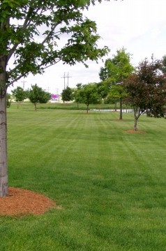 Indianapolis Landscaping